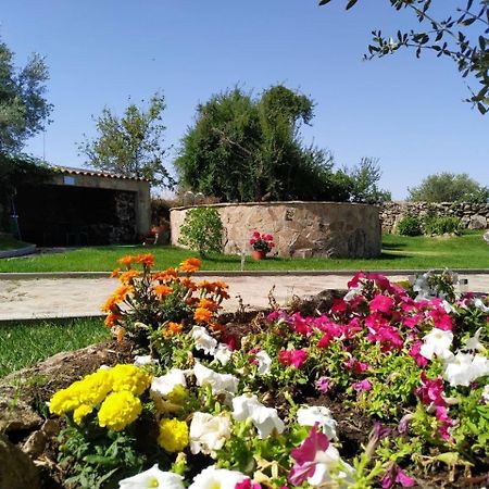 El Lagar Del Abuelo En Los Arribes Del Duero, Badilla, Zamora Extérieur photo