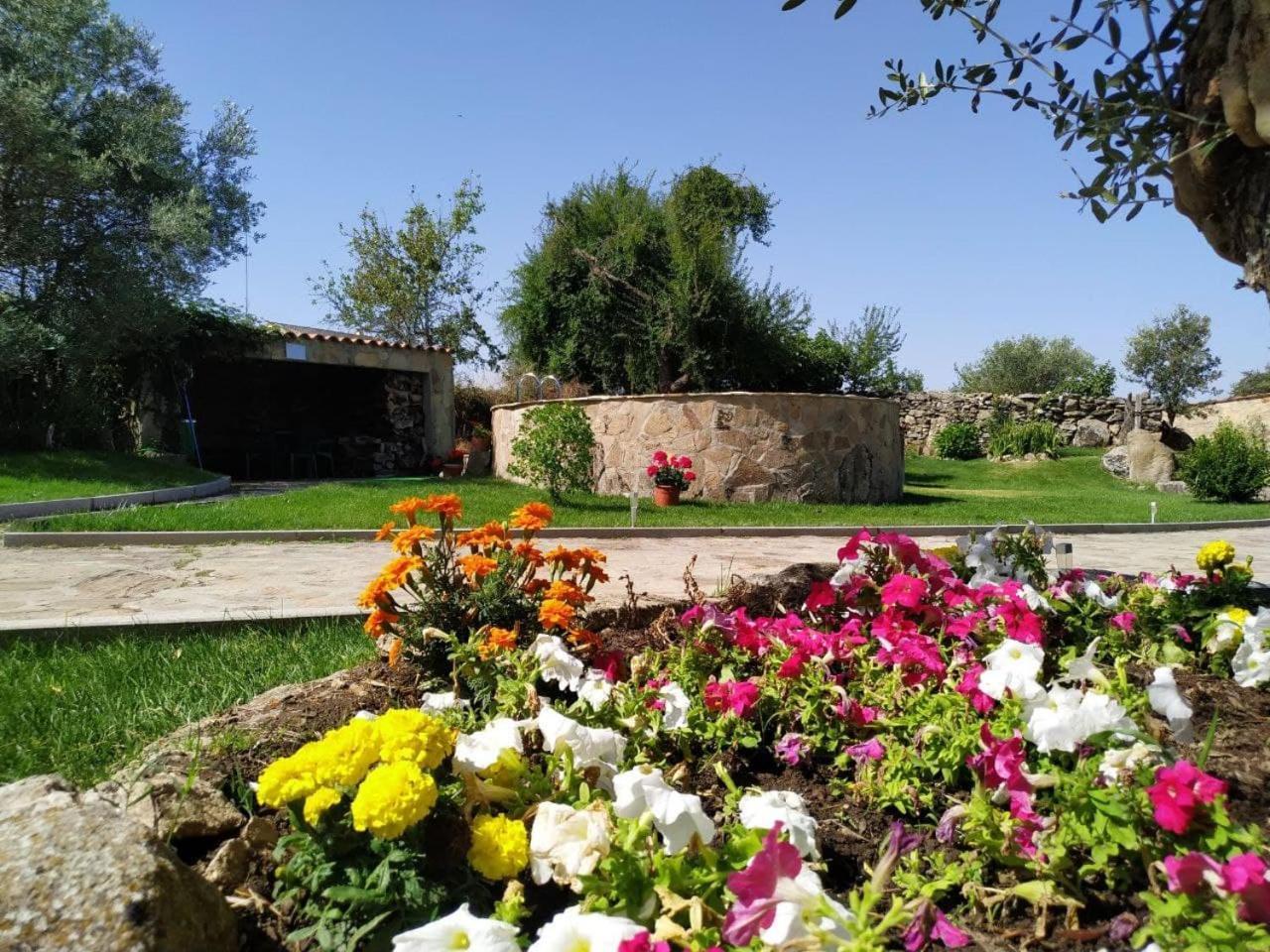El Lagar Del Abuelo En Los Arribes Del Duero, Badilla, Zamora Extérieur photo
