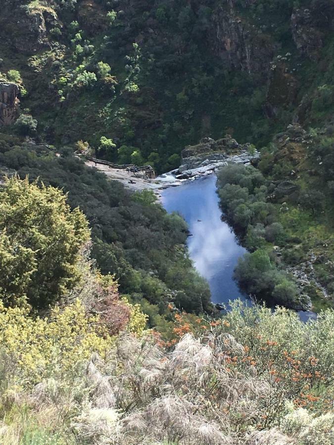 El Lagar Del Abuelo En Los Arribes Del Duero, Badilla, Zamora Extérieur photo